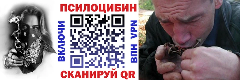 Псилоцибиновые грибы Cubensis  кракен   Балаково 