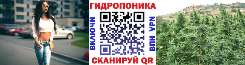 купить   Балаково  маркетплейс официальный сайт  Марихуана индика 